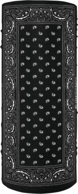 Black Paisley 